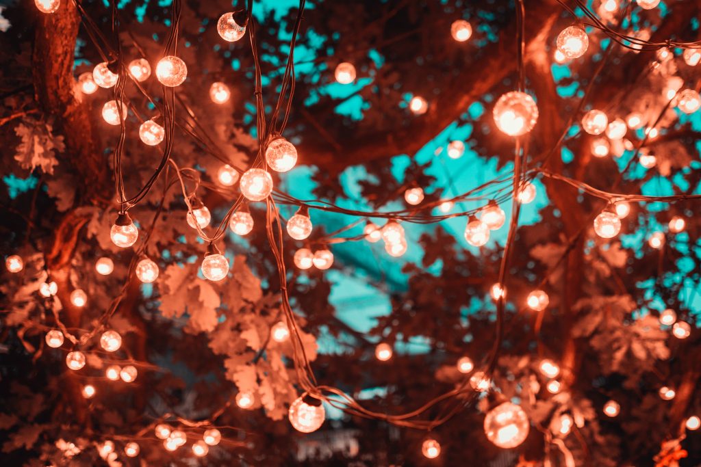 brown-string-lights-in-tree-1124960