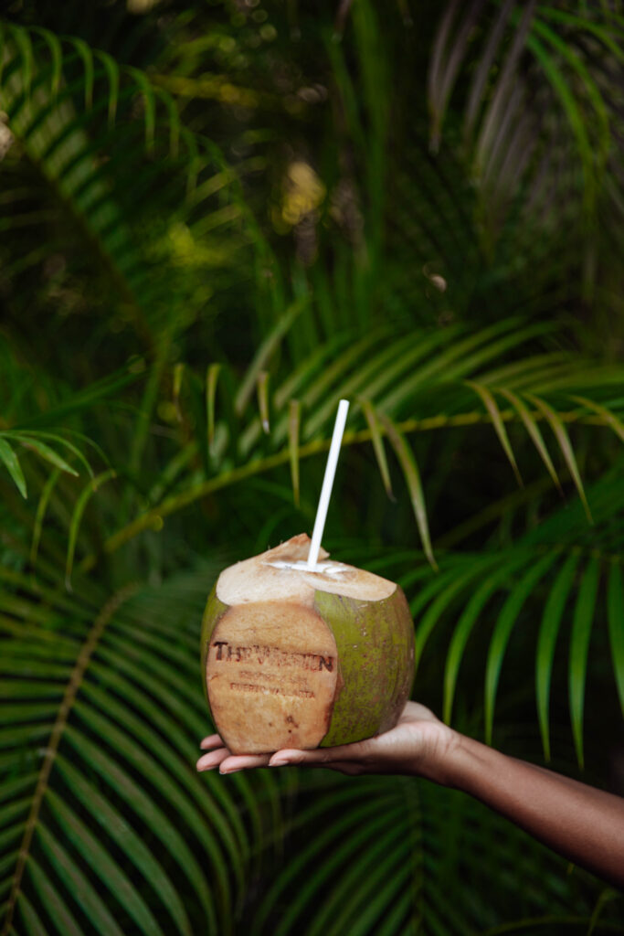 The Westin Puerto Vallarta coconut