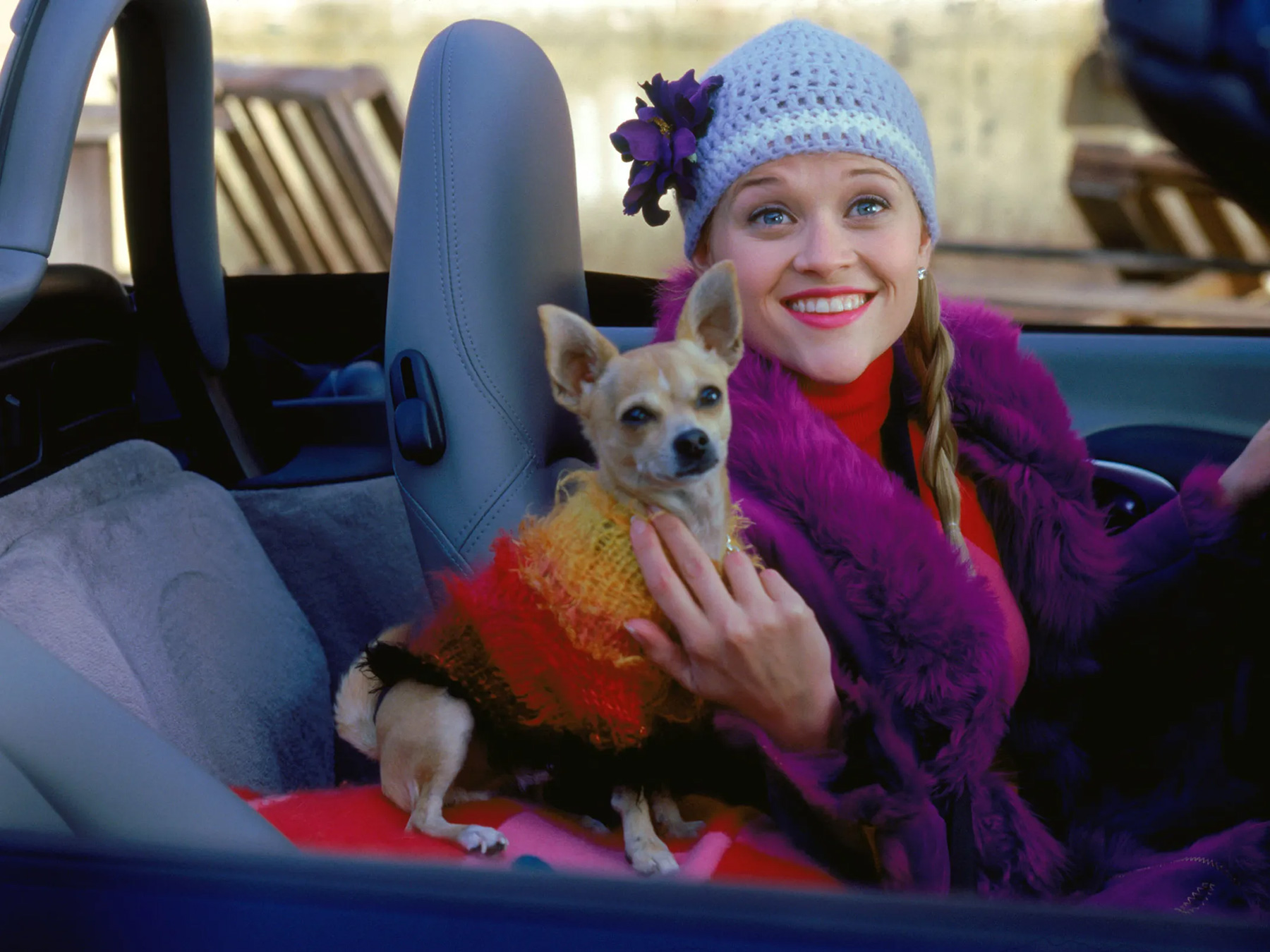 Being-Single-During-Cuffing-Season–A-Chaotic-Survival-Guide-1