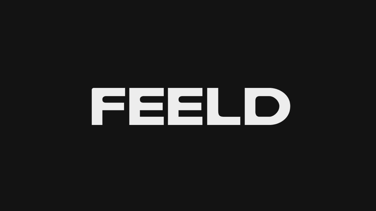 10 Dating Apps and Their Pros and Cons-feeld